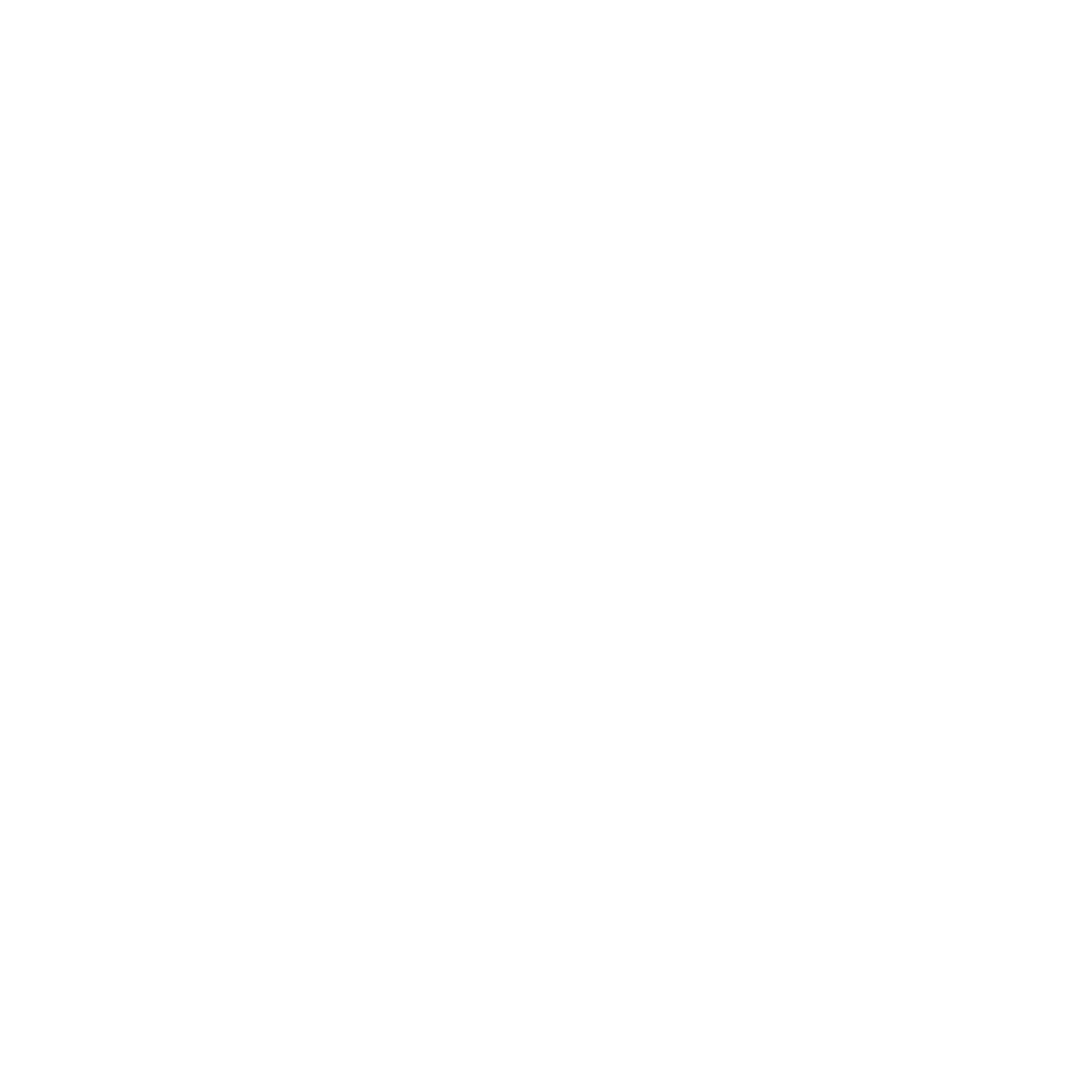 StriveNimbus Logo